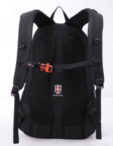 תיק דגם מספר JN79831